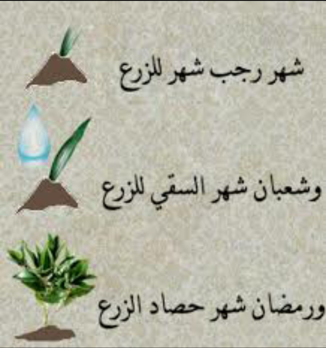 اللهم بارك لنا في هذه الأشهر واكتب لنا نصيبا وخيرا منها 🌿🌼🌿