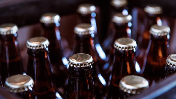 Científicos del Conicet crearon la primera cerveza artesanal 100% argentina infob.ae/2ovLyVB