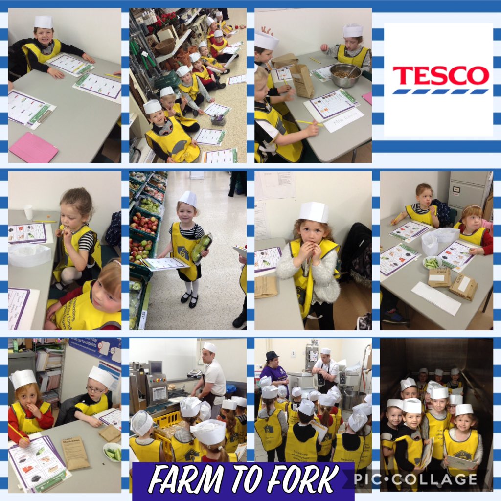 Mrs Jackson (@missrwatts) on Twitter photo We had a fantastic morning at <a href="/Tesco/">Tesco</a> Norham Road taking part in the Farm to Fork project. <a href="/SMemorial/">Stephenson Memorial</a> <a href="/SMEYCentre/">Stephenson Memorial</a> #fruit #health #vegetables We had a fantastic morning at <a href="/Tesco/">Tesco</a> Norham Road taking part in the Farm to Fork project. <a href="/SMemorial/">Stephenson Memorial</a> <a href="/SMEYCentre/">Stephenson Memorial</a> #fruit #health #vegetables