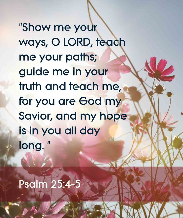 Psalm 25 4 5 Scripture Quotes Psalms Scripture Verses psalm-25-4-5-scripture-quotes-psalms-scripture-verses