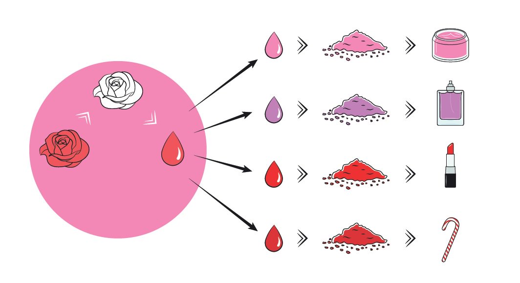 Interested in #natural #pigments? FeyeCon has the processes in place for extracting and stabilizing them. ow.ly/DlHY30b7aVR