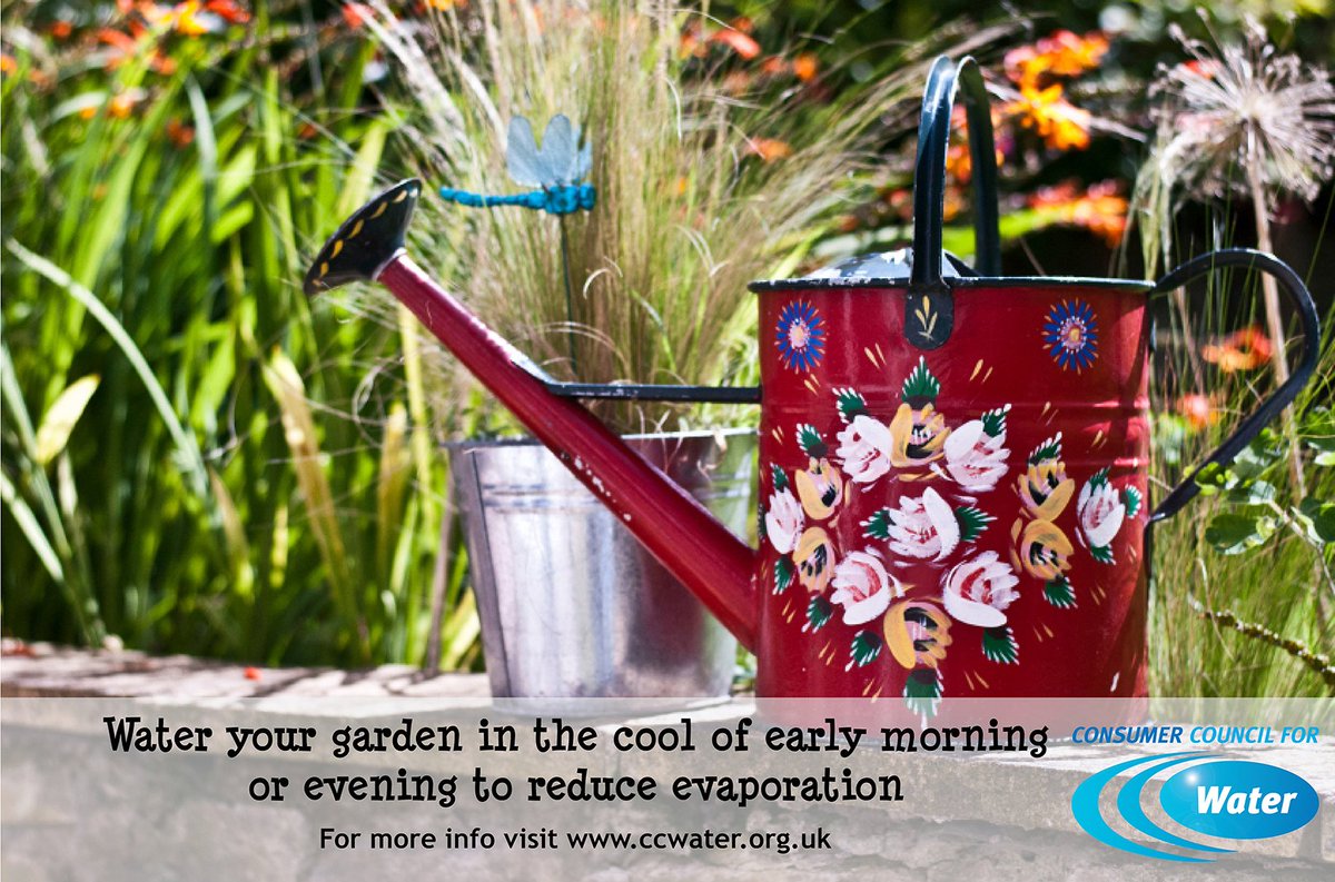 Always try to water your garden during the coolest part of the day to reduce evaporation #thinkwater #savewater