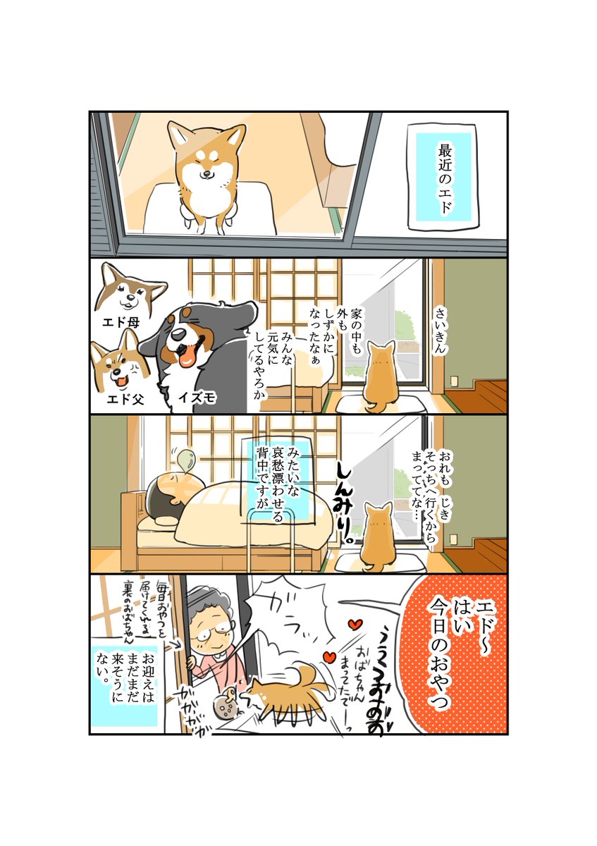 新めぐみ 3巻発売中 90 さいきんのエド 新めぐみ 3巻発売中 90 さいきんのエド