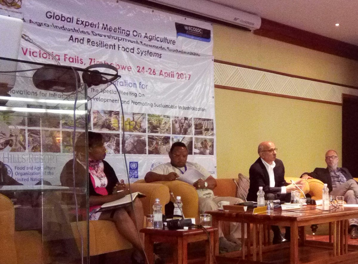 faosfsafrica's tweet photo. "Unless we put all our ideas together in one conceptual framework,our efforts are in vain" - @navidhanifun #agroindustry #Agenda2030 #3ADI+ https://t.co/o6kDb54ED2