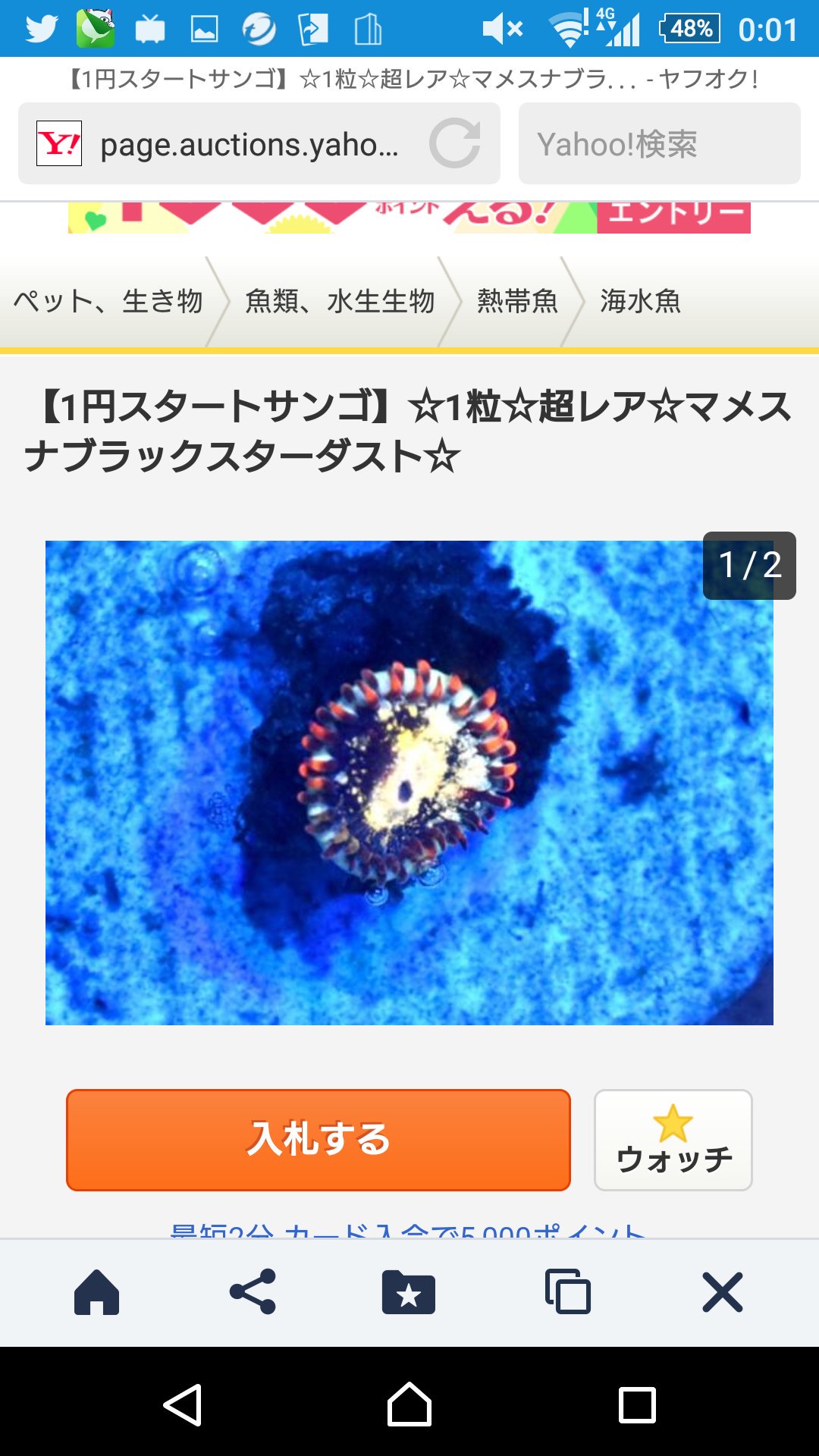 みゃー02アクアリスト 名前面白いけど好きだな T Co Oozwsaixnu Twitter