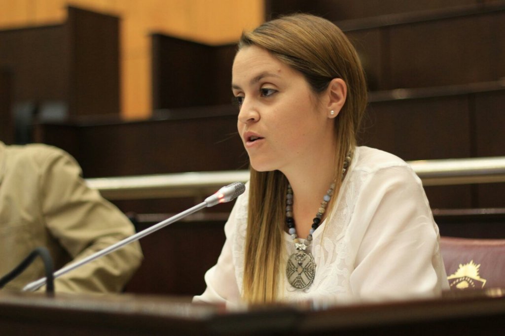 #EnSesión #JovenesLíderes 6ta Cohorte @dipmenquinez <a href="/LegislaturaNqn/">Legislatura de la Provincia del Neuquén</a>, a través de una mirada plural, construye futuro