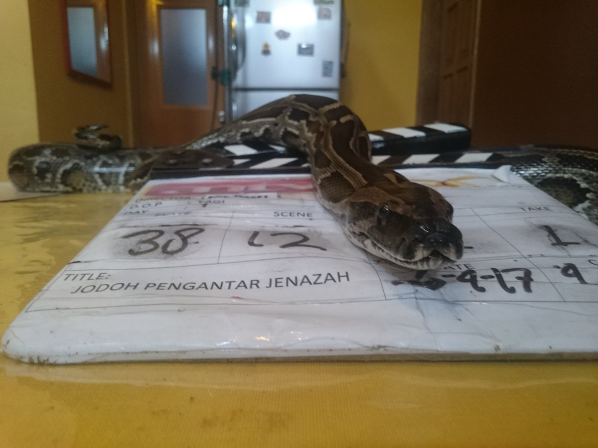 #JODOHPENGANTARJENAZAH05 ngeriiiiii