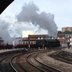 Photo by David Boughey (@dbexeter)