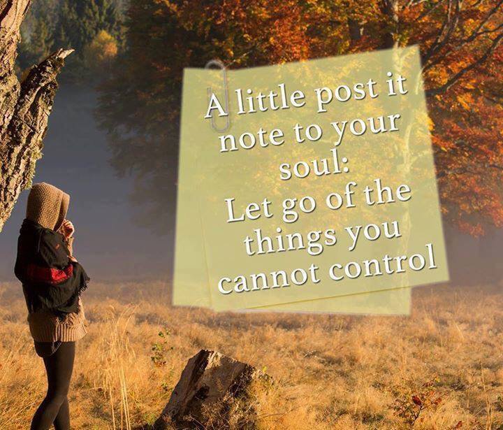 vmdil's tweet image. #SoTrue
#ImAWorkInProgress