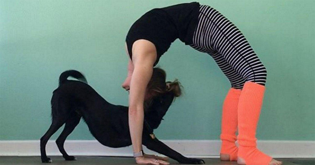 Animal Yogis That Are Almost Too Cute for Instagram bit.ly/2pm2pJQ