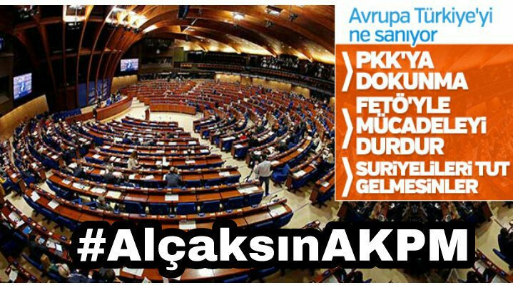 ak_erva68's tweet photo. Bunlar almistir bir tiyo diye dusunuyorum eger aihm bunlarin davasini kabul ederse hic sasirmayin derim
#AlçaksınAKPM https://t.co/WDcymsXiKd