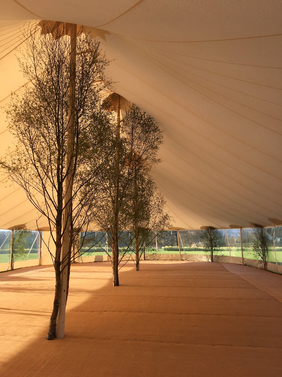 Pretty #Sperry details from last weekends #event in #Scotland! 🌿 Who else loves to see trees inside at a #wedding or event?