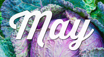 Classes with @UnaCalgary @Alloy Restaurant <a href="/ByOllia/">Ollia Macarons & Tea</a> <a href="/cochuchocolate/">Anne Sellmer</a> <a href="/therealJBB/">Jason Barton-Browne</a> &amp; more. YUM! conta.cc/2pXf82w