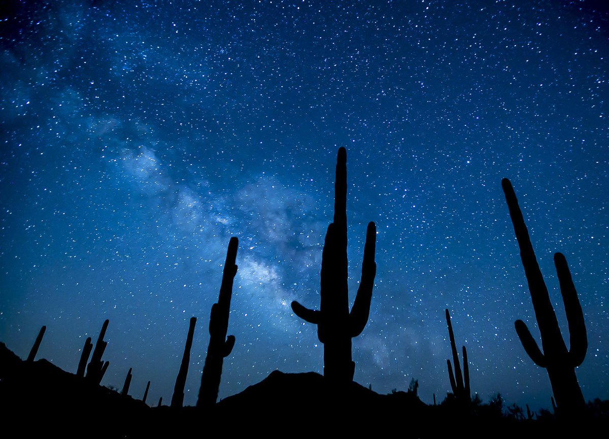 Here are the national monuments at risk under Donald Trump buzzfeed.com/gabrielsanchez…