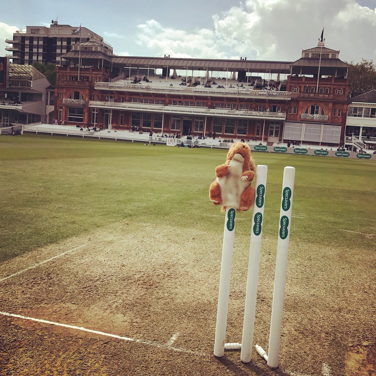 Daughter in charge of <a href="/ForestSchoolE17/">Forest School</a> reception mascot "Apple" the squirrel. Found its way onto <a href="/HomeOfCricket/">Lord's Cricket Ground</a> during essVmidd last week 😀