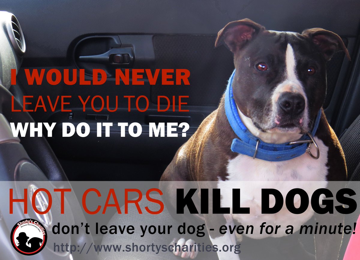 I would never leave you to die, why would you do it me?  HOT CARS KILLS DOGS PEOPLE!
