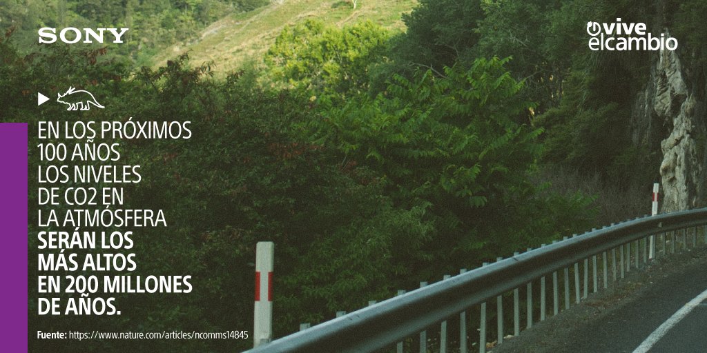 Si la situación no cambia, dentro de 300 años la concentración de CO2 será la más alta en 420 millones de años