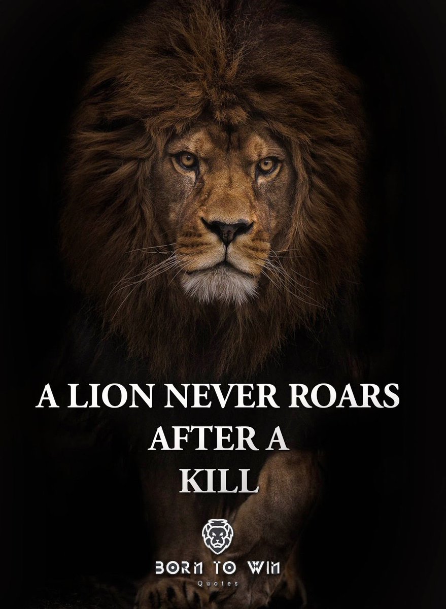 Born To Win Quotes Borntowinquotes Twitter Born To Win Quotes Borntowinquotes Twitter