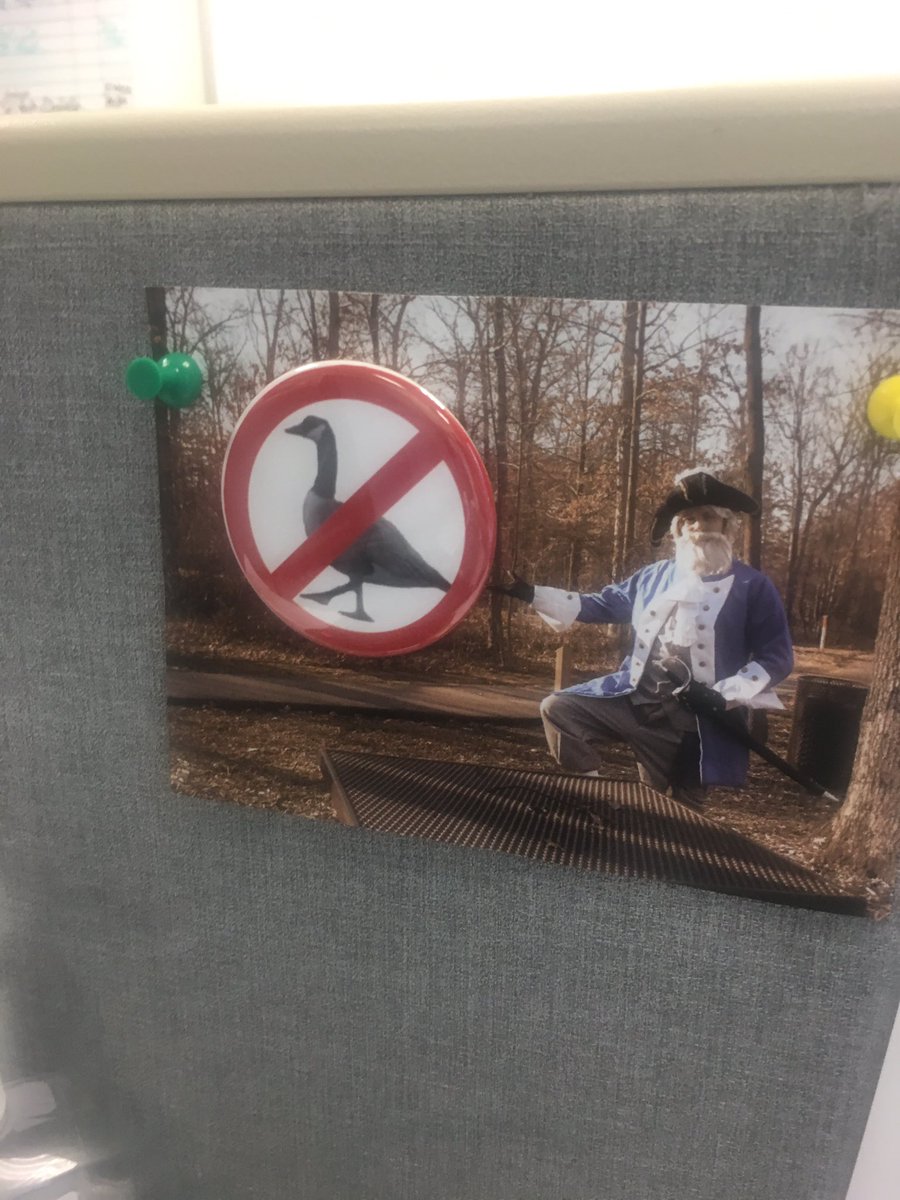 gpollhammer's tweet image. @ColGateway