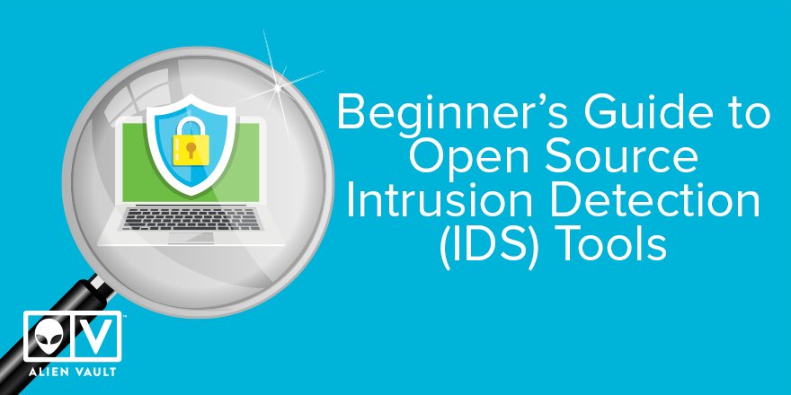 download submanifolds and holonomy