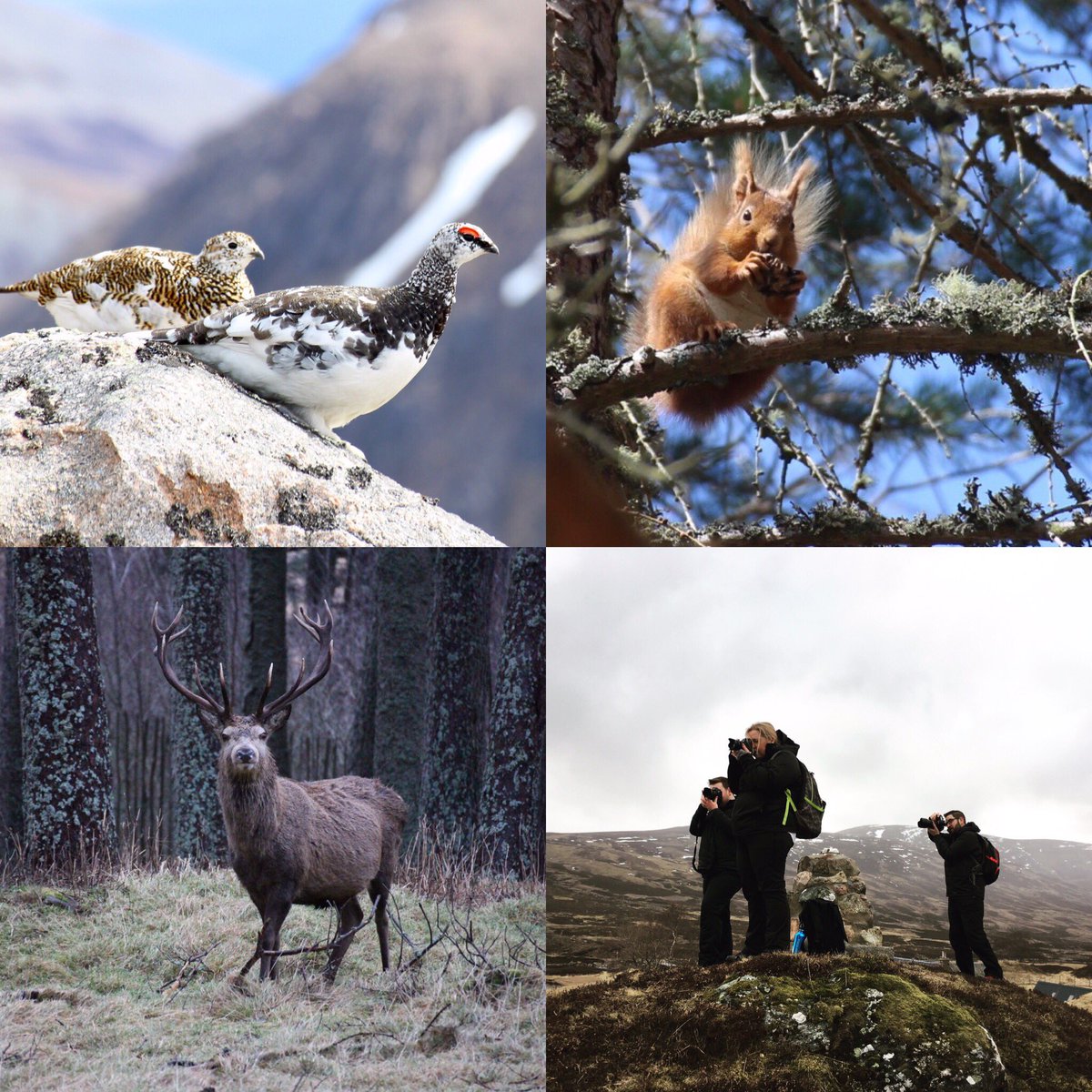 We ♥️wildlife walks, come with and take your own photos #wildlifephotography #wildlifewalks #wildlife