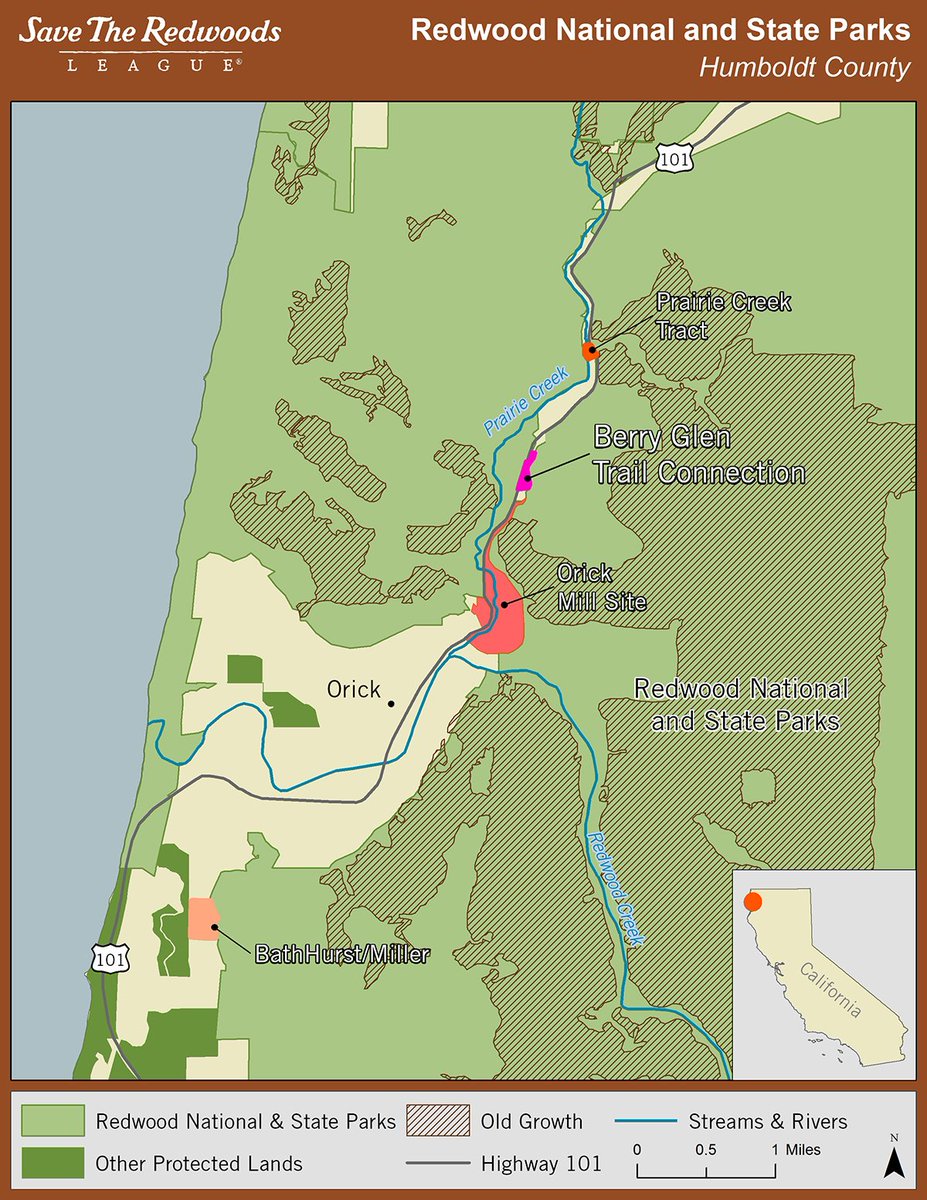 RedwoodNPS's tweet photo. Thanks to @savetheredwoods the park just grew by 6 acres! The "Berry Glen" transfer preserves wildlife corridors and old-growth trees. https://t.co/1sucCvrEX4