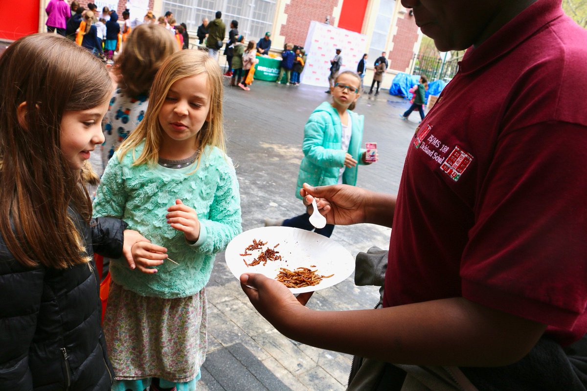 TheTechbrarian's tweet photo. #bugstand menu @ ps363βs #earthday fair: sweet+savory #mealworms, #CricketFlour brownies & pancakes, & spicy crickets.
#entomophagy https://t.co/rzBALz3gbw