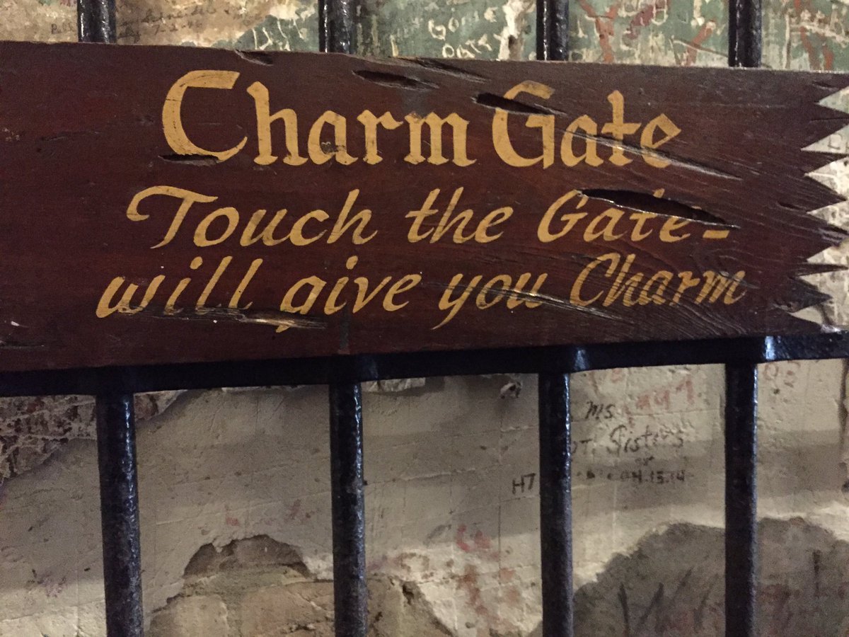 OSUITFutureChef's tweet image. 