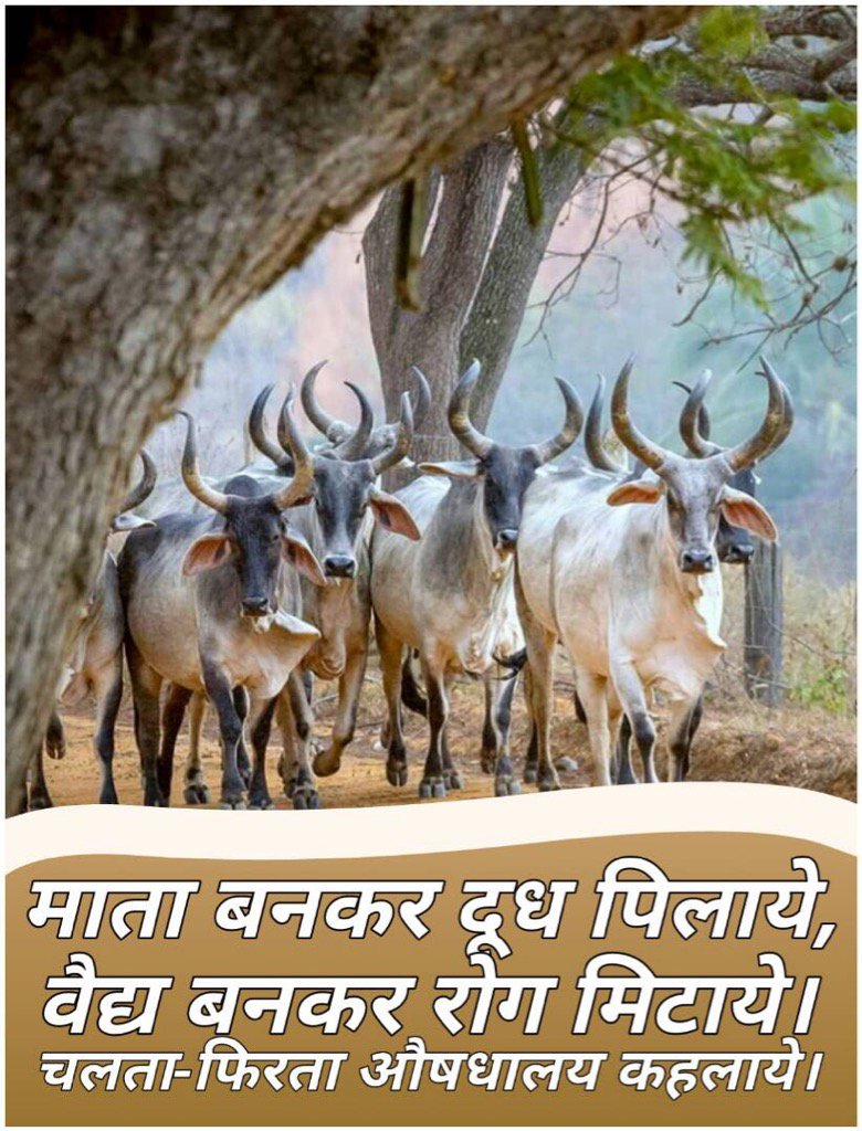 AvasthiGourav's tweet image. 