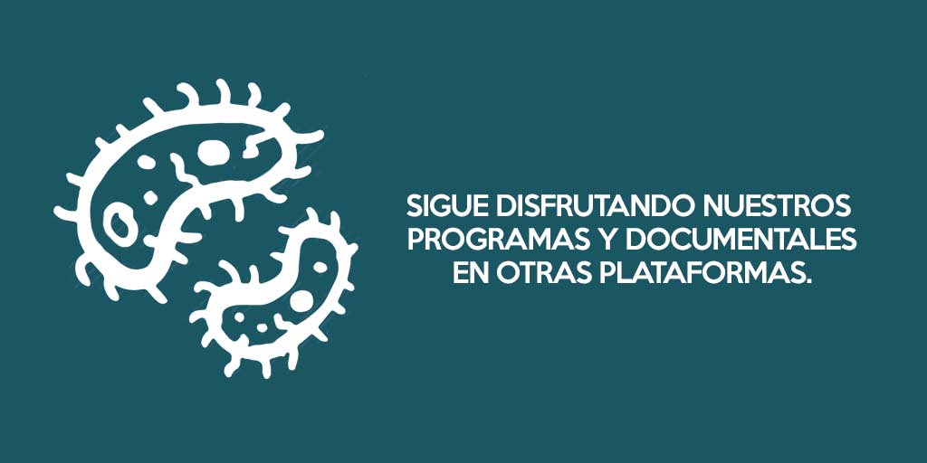No le pierdas la pista a tus programas favoritos en TV abierta, paga y plataformas de videostreaming en tu región. ¡Estamos cerca de ti!