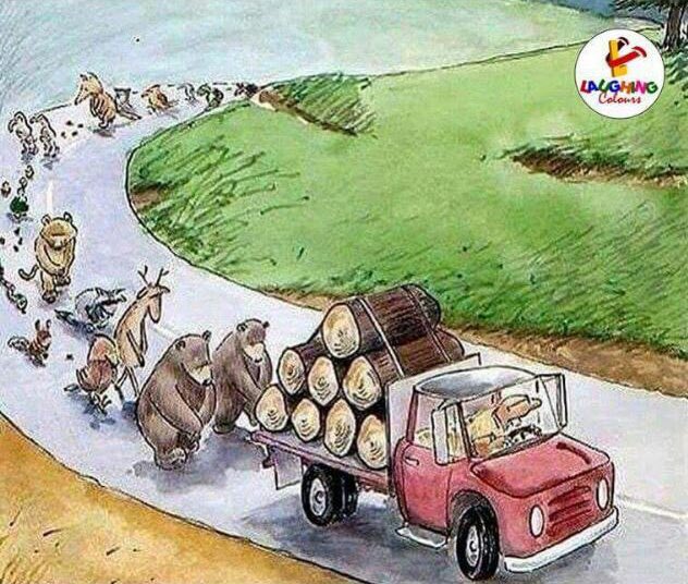 bfhsstem's tweet image. #deforestation