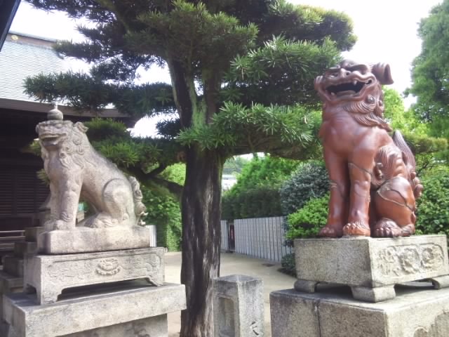 神社巡りで見たおもしろ狛犬たち 歩けるうちに歩いておこう 見ておこう 神社巡りで見たおもしろ狛犬たち 歩けるうちに歩いておこう 見ておこう