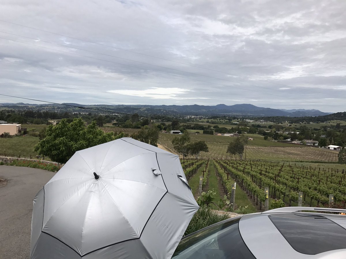 mobiletechshade's tweet photo. Mobile tech shade in the napa valley!
#mobiletechshade #dentsolution #thedentologist https://t.co/Ivyk4OBqCe