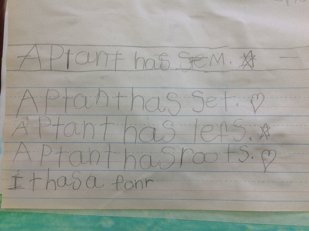 MHoffmanPLS's tweet photo. Proud Ks with plant art. They shared what parts they see above/below ground, labeled, &amp; wrote sentences. @GrainwoodPLS @mschultzPLS @LDeile https://t.co/djEBVwDeMn
