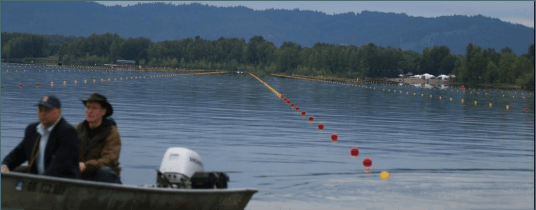 VashonCrew's tweet photo. Vashon Crew Supports Portland-Vancouver Rowing Association New Race Course https://t.co/eeoiyssKWV https://t.co/YMXRBYPxgR