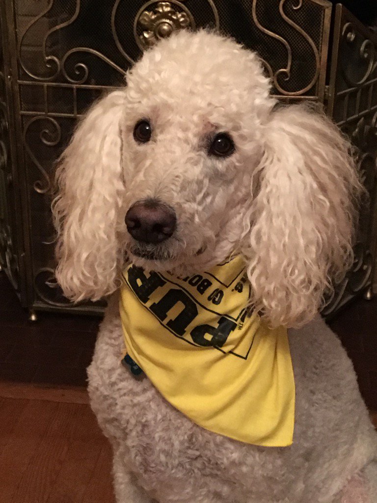Here's Lukas for Purdue education! #DayofGiving #PurdueEDU
