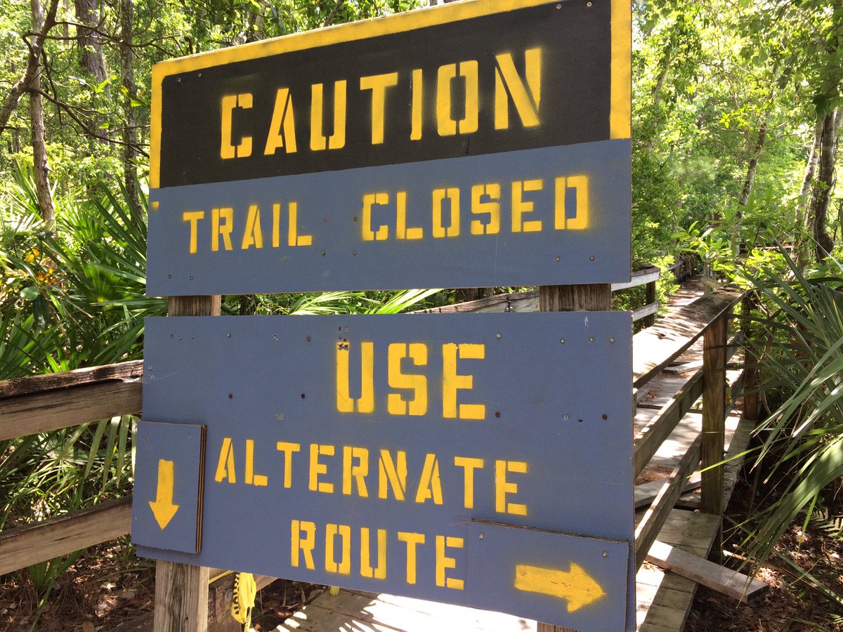 John Alexander tweet media