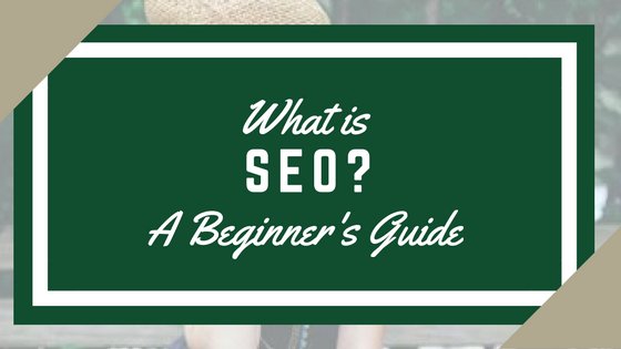 Two10Solutions's tweet image. Highly recommended SEO beginner&apos;s guide to build your site &amp;gt;&amp;gt; bit.ly/2bv9MqZ