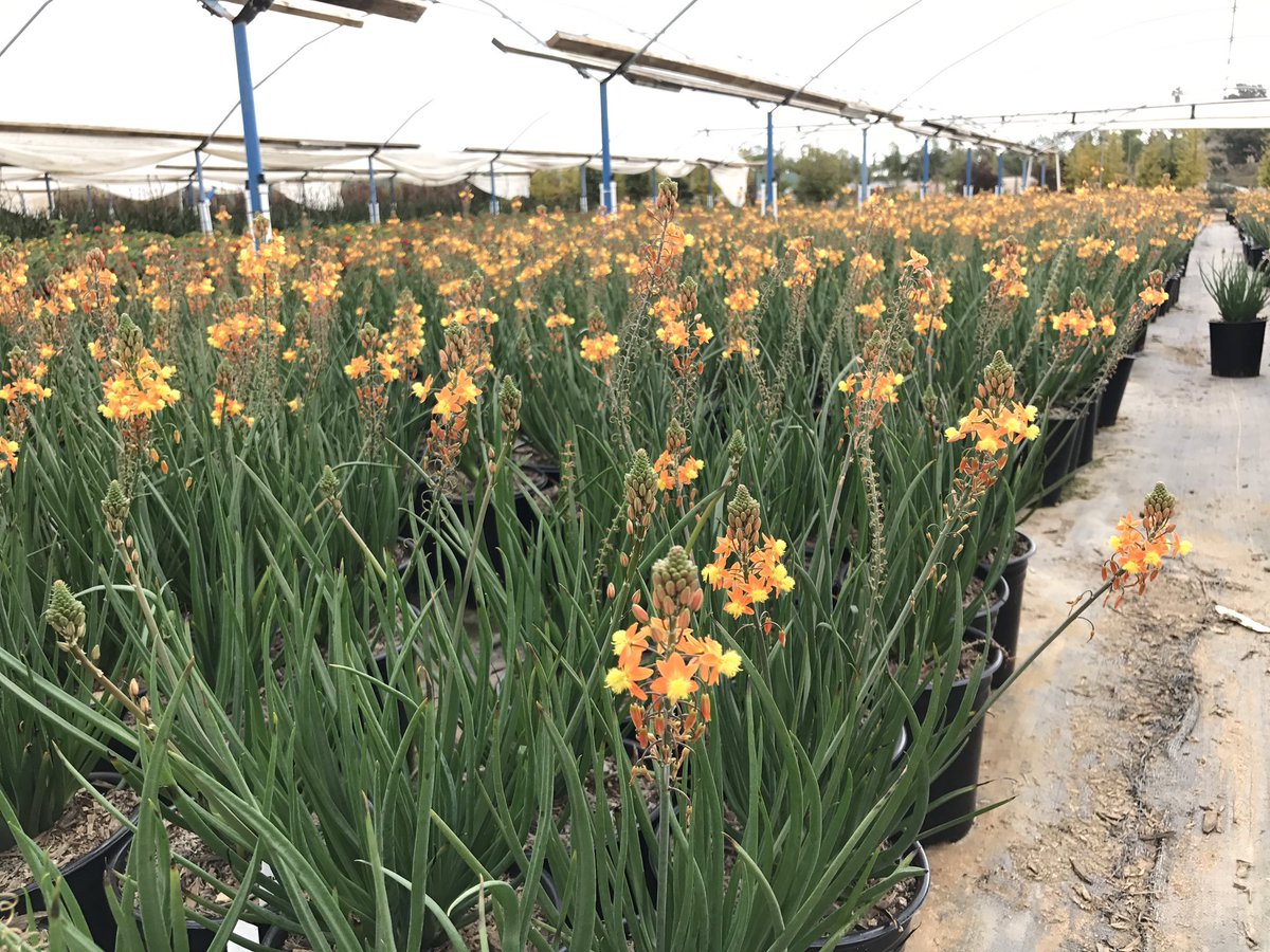 DMColorExpress's tweet image. 