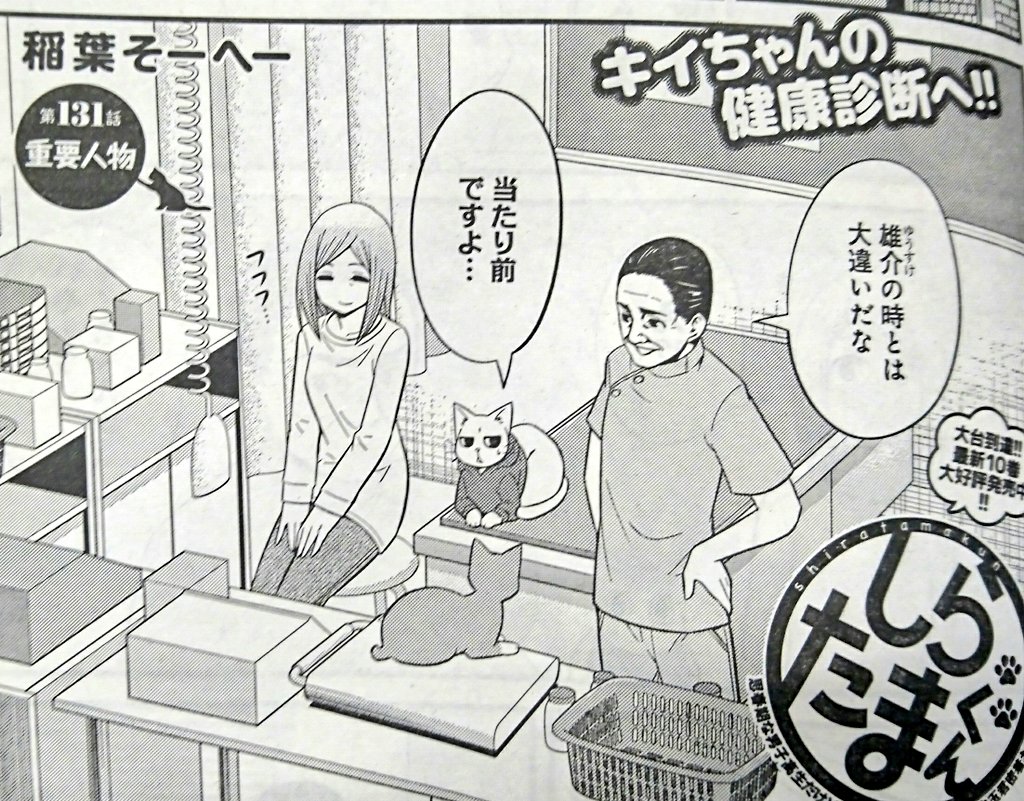 ট ইট র 週刊ヤングジャンプ編集部 しらたまくん 最新yj22 23合併号に 第131話 重要人物 掲載しています キイちゃんの健康診断にやって来た白玉君たちですが 思いがけず白玉君の幼い頃の話に 最新10巻絶賛発売中です Gwのお供などにも是非