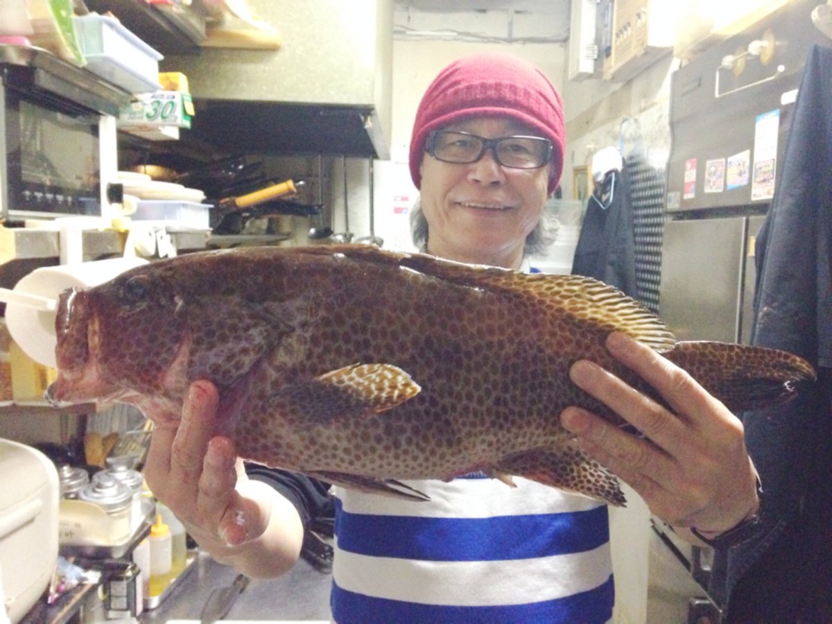 Dj Boss とったど くまちゃんが 東シナ海の脂ノリノリのアラ 高級魚 アラをおろす代わりに半身いただきます 太ちゃん ちかちゃん くまちゃんありがとう アラ 東シナ海 釣り Soulmasterscafe 高級魚 Kagoshima T Co Ccmzlzbe0q