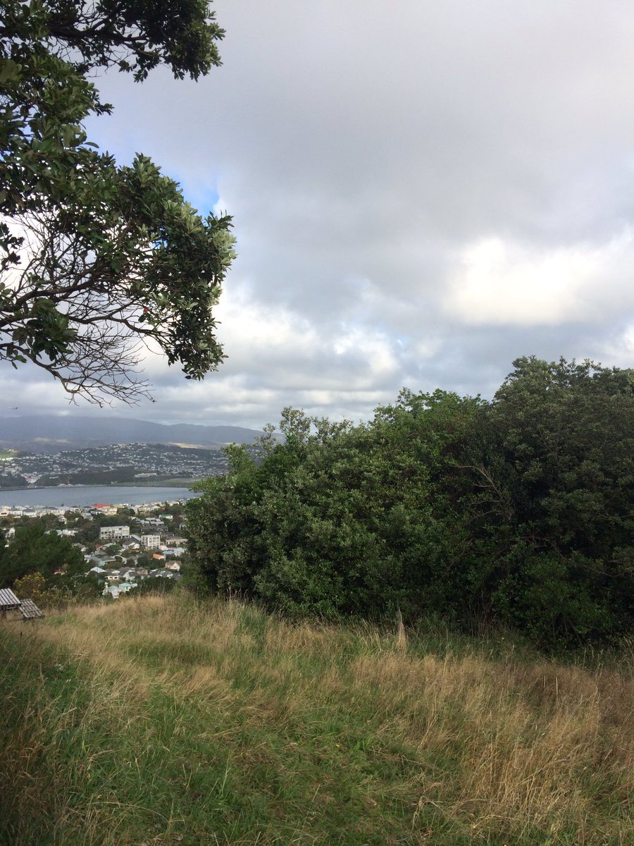 chart_research's tweet image. Remind me, why is my vacation over?