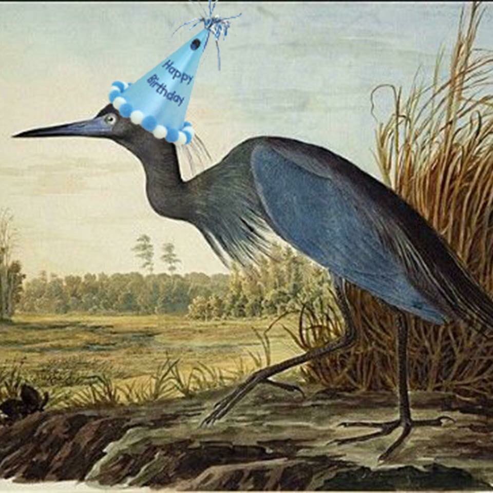 Happy birthday John James Audubon! April 26th! 
