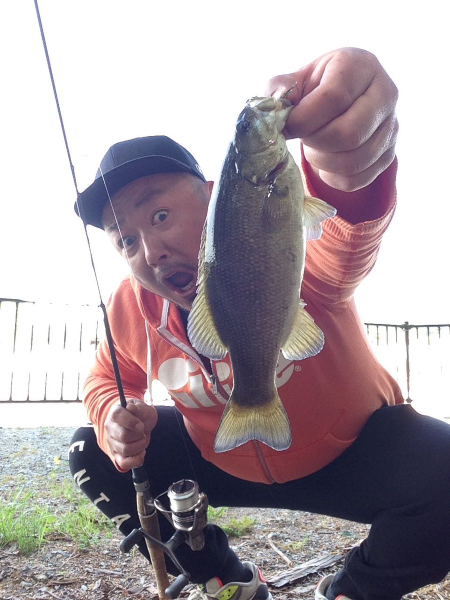 Mcgenki A Twitter 琵琶湖から帰ってきたばかりなのにみんな釣りに行ってるらしいwww もちろんオレも 爆笑 バス釣り 小川町 槻川 スモールマウス スモラバ ケムケム
