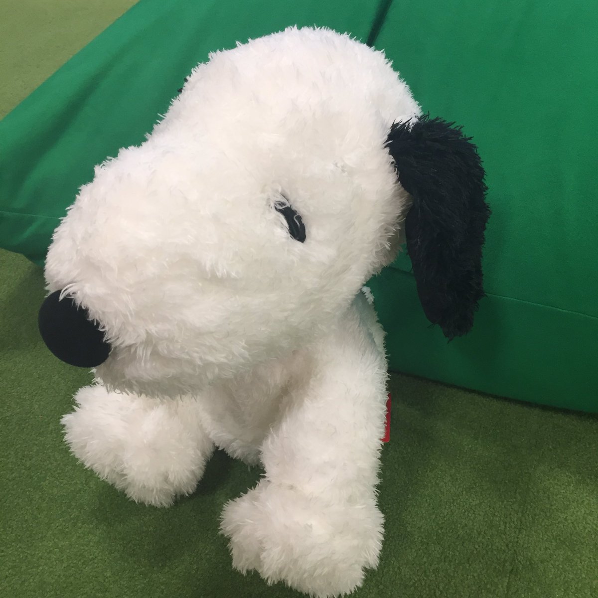 公式 タイトーステーション アリオ柏店 A Twitter スヌーピー の メガジャンボふわさらぬいぐるみ がが本日入荷で稼働しております 可愛い スヌーピーです 犬好きなしっぽは見た瞬間に悶えてしまいました D この可愛さは無敵ですよー アリオ柏 Snoopy