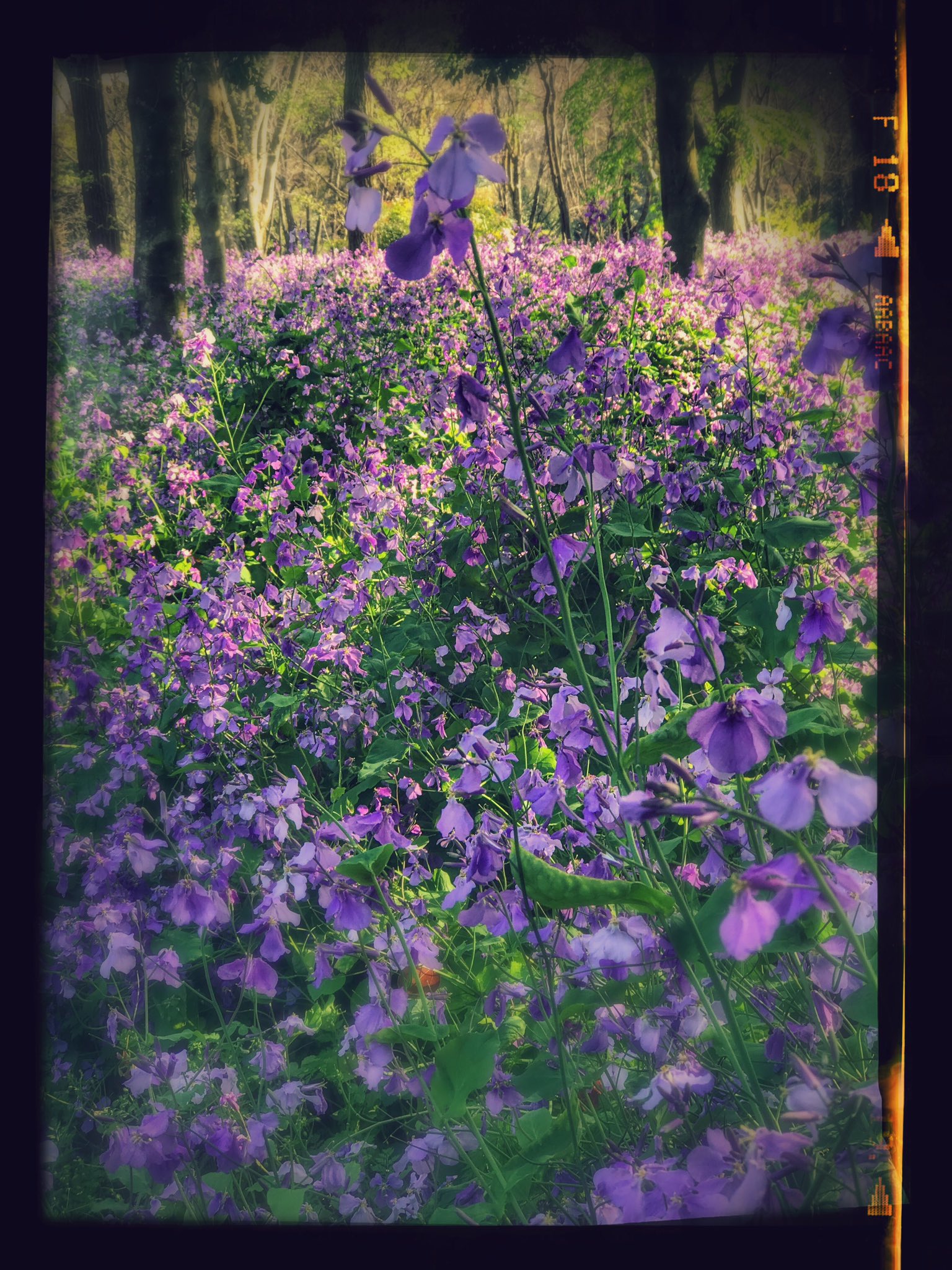 Danny Sullivan on Twitter: “Google Photos added some nice effects to