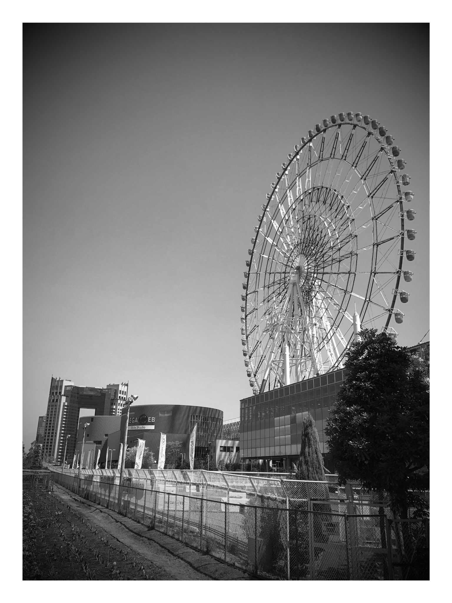 Danny Sullivan on Twitter: “Google Photos added some nice effects to