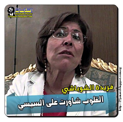 فريدة الشوباشي: القلوب شاورت على السيسي