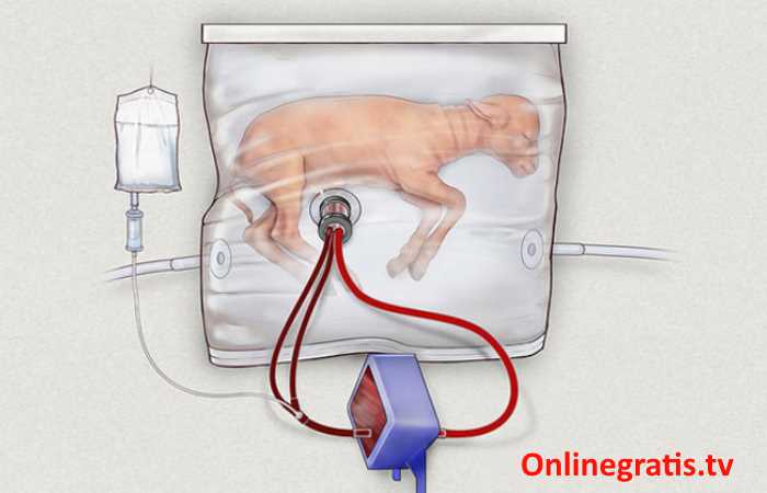 OnlineEnlinea's tweet image. Pediatras han creado útero Artificial podria llegar a salvar a bebes prematuros
world.onlinegratis.tv/Salud-y-Medici…

#uteroArtificial #bebes #prematuros