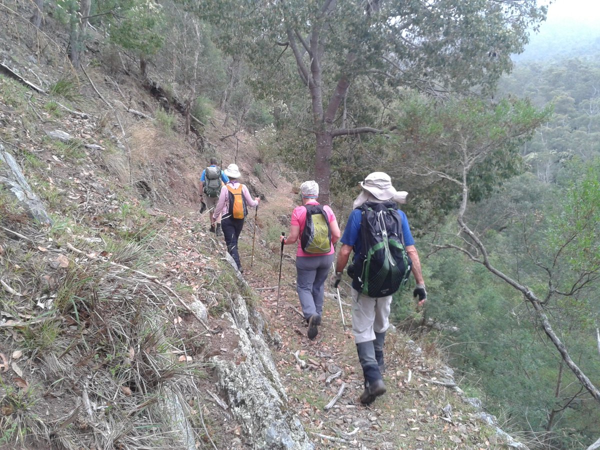 Going_Solar's tweet image. Victorian Walking Festival until May 15.  #walks in #Melbourne &amp;amp; regional #Victoria  victorianwalkingfestival.com.au for program